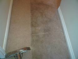 carpet cleaning before and after