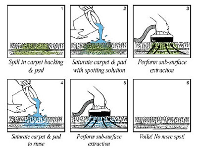 pet stains in carpet