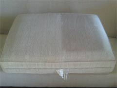 Upholstery cleaning Oakville, Mississauga, Burlington